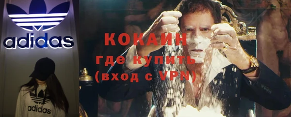 сатива Лихославль