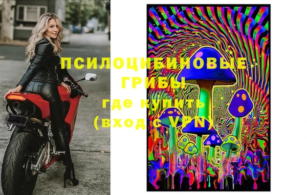 сатива Лихославль