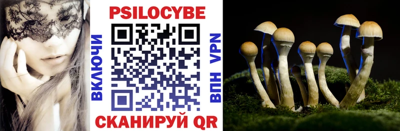 купить цена кракен ТОР Галлюциногенные грибы Cubensis Трубчевск